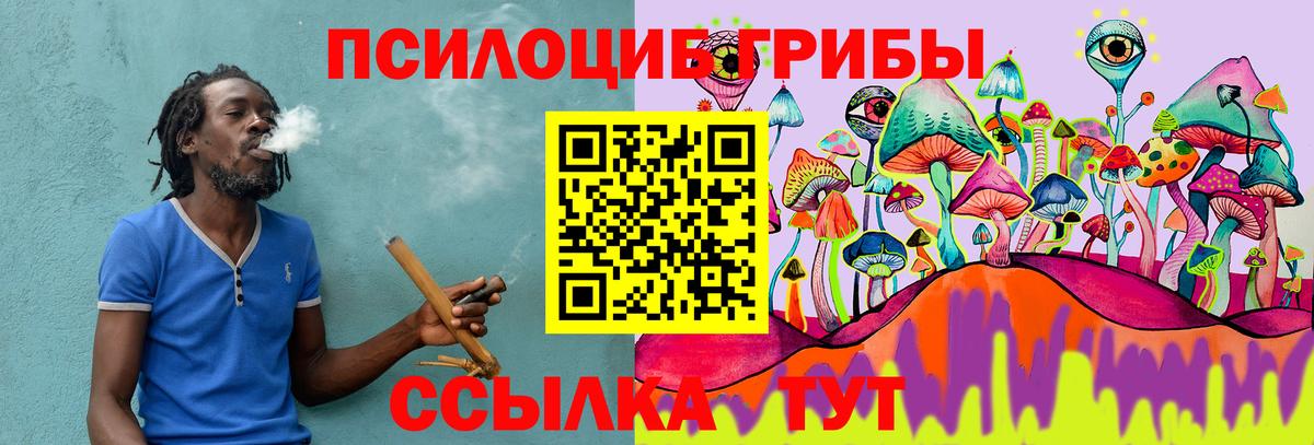 Псилоцибиновые грибы GOLDEN TEACHER  Вход с VPN  Псилоцибиновые грибы MAGIC MUSHROOMS  Тулун 